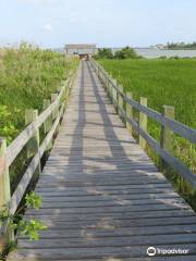 Hans A. Suter Wildlife Area