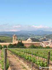 Bodegas Pago de Larrainzar