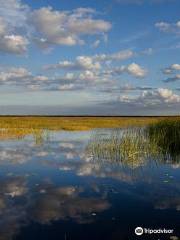 Lake Okeechobee Bass Fishing