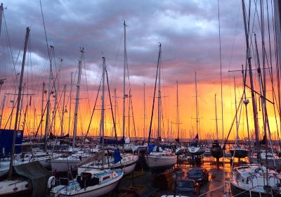Poole