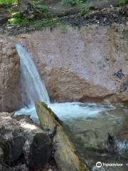 Manistee River Trail