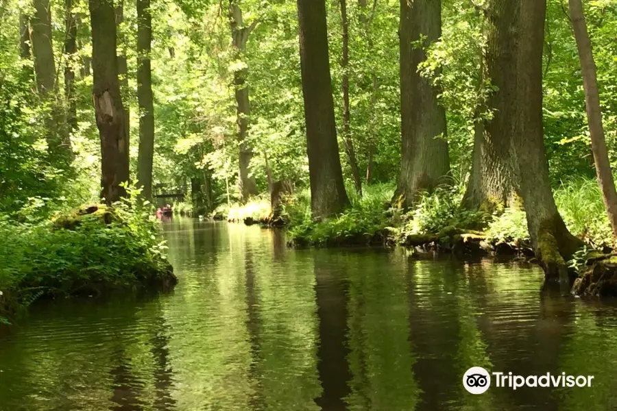 Premium Kahnfahrten - Hafen Lübbenau / Spreewald