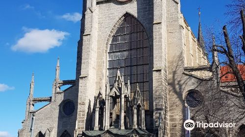 Cathedral of Assumption of Our Lady and St. John the Baptist