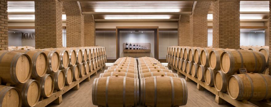 Bodegas Izadi