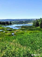 Codroy Valley International Wetlands