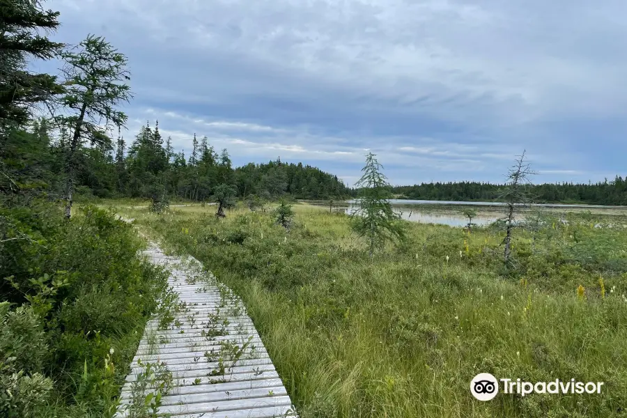 Otter Pond Walking Trail