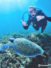 Ecodiving - Escola de Mergulho