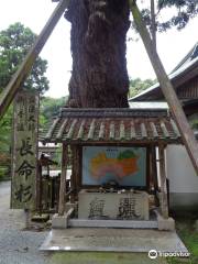Gokuraku-ji Temple, Chomeisugi