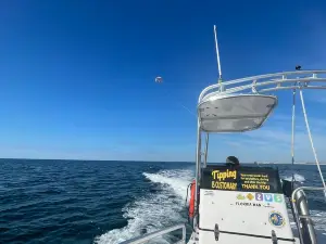 Just Chute Me Parasail