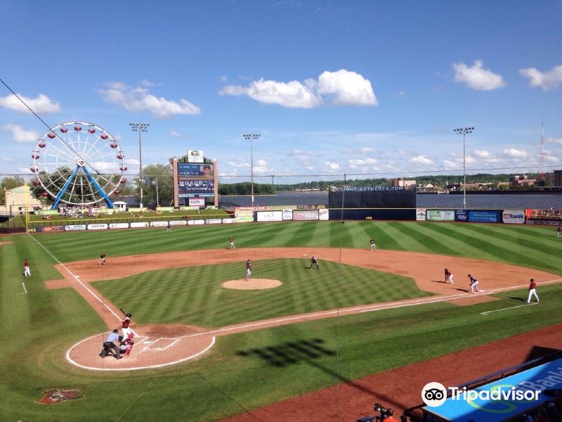Rochester to Davenport Flights