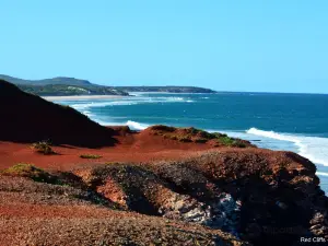 Yuraygir National Park