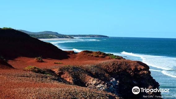 Yuraygir National Park