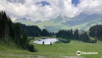 Hoch Ybrig