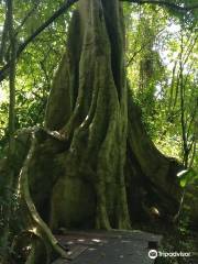 Parque nacional de Phu Sang