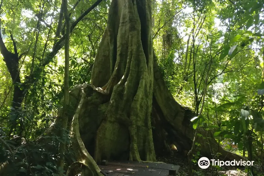 Parque nacional de Phu Sang