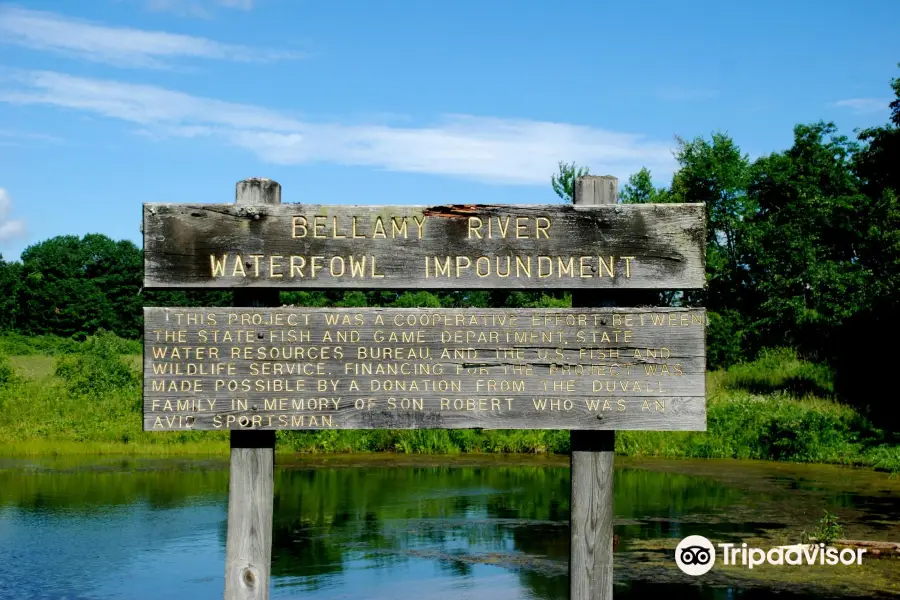 Bellamy River Wildlife Management Area