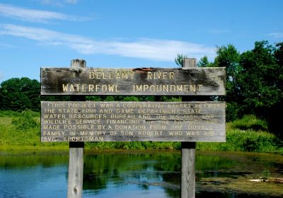 Bellamy River Wildlife Management Area