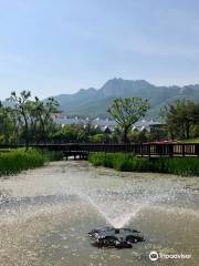 Giardino degli Iris di Seoul