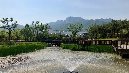 Giardino degli Iris di Seoul