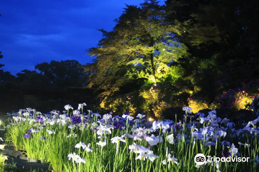 花菖蒲園