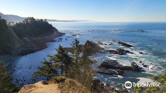 Cape Arago State Park
