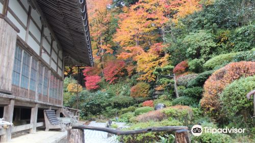 養泉寺