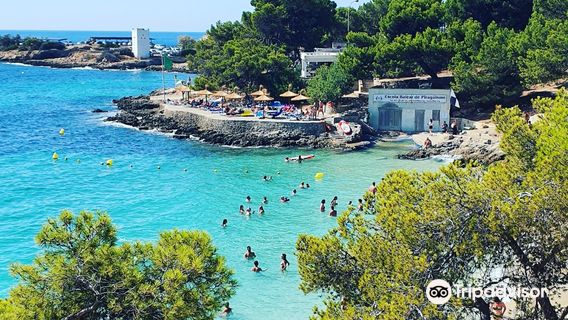 Cala Comtesa