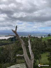 Brady's Lookout