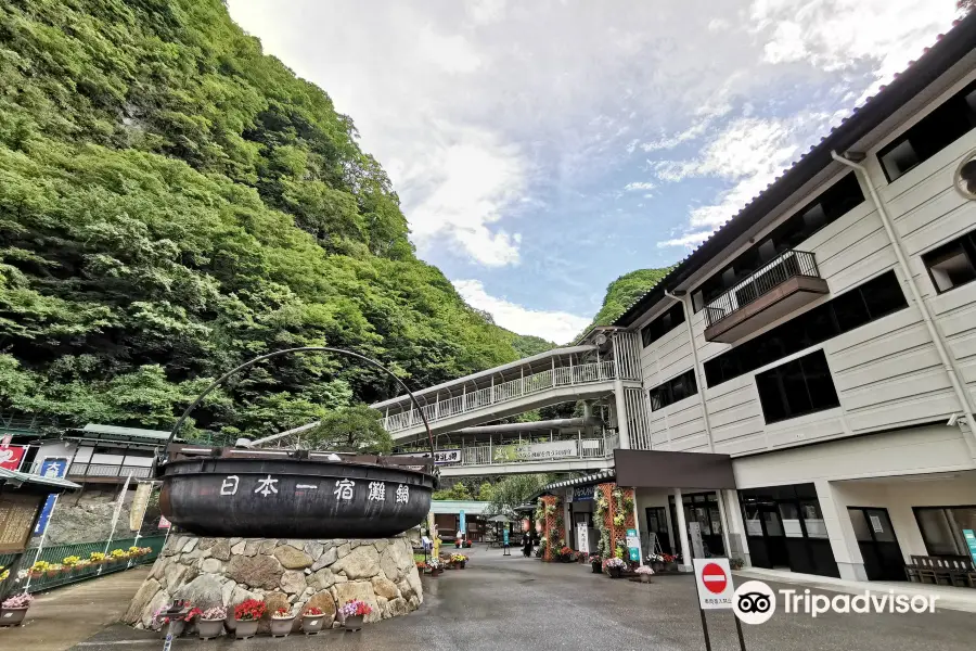 Great Limestone Cave of Hida and Ohashi Collection Museum