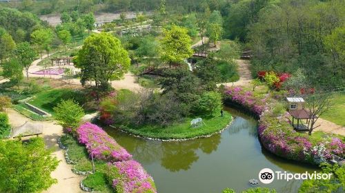 仁川大公園