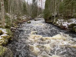 Parco nazionale di Leivonmäki
