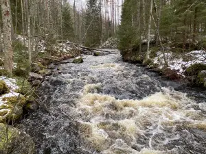 Leivonmäki-Nationalpark