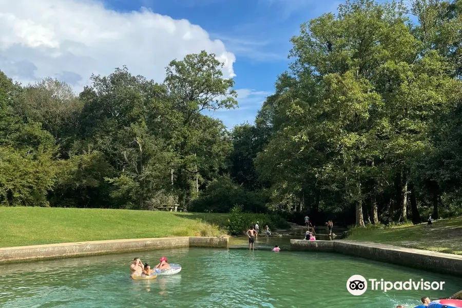 Blue Springs State Park