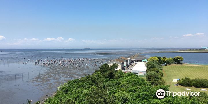 Kisarazu Coast Shiohigari
