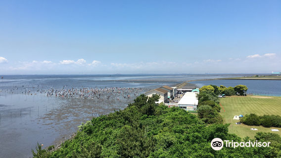 Kisarazu Coast Shiohigari
