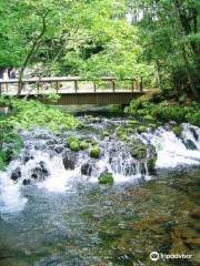 Kyogoku Spring Water Village