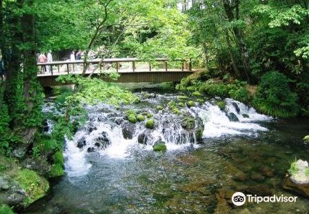 Kyogoku Spring Water Village