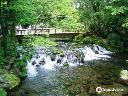 Kyogoku Spring Water Village