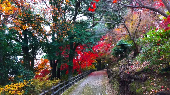 尾関山公園