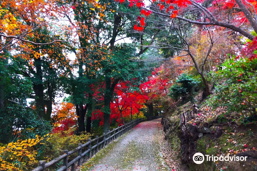 Ozekiyama Park