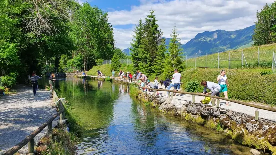 Pisciculture de la Gruyere