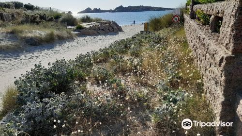 Plage Grève Rose