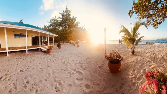 Dive Grenada