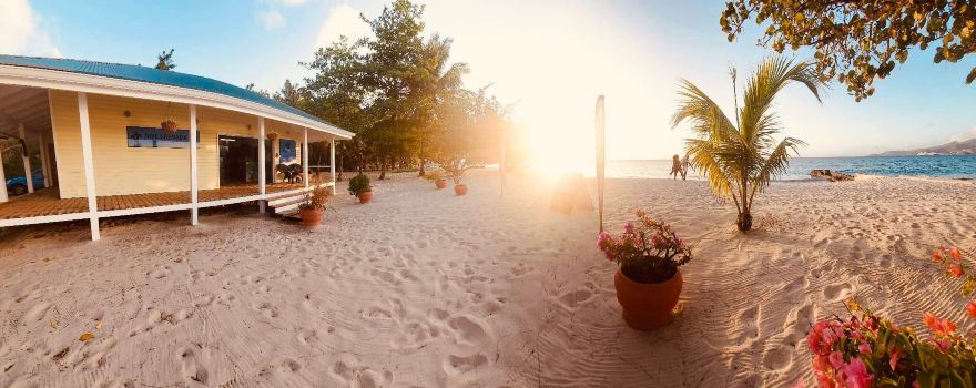 Dive Grenada