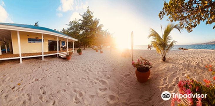 Dive Grenada