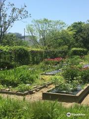 Fukuoka University Herb Garden