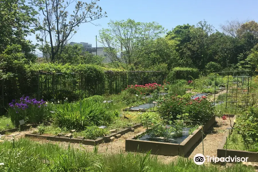 Fukuoka University Herb Garden