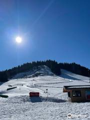 Speed Luge Vercors