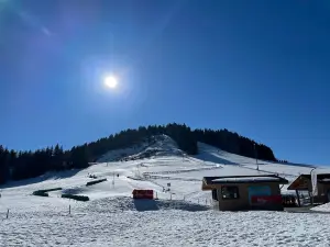 Speed ​​Luge Vercors