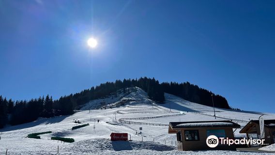 Speed ​​Luge Vercors